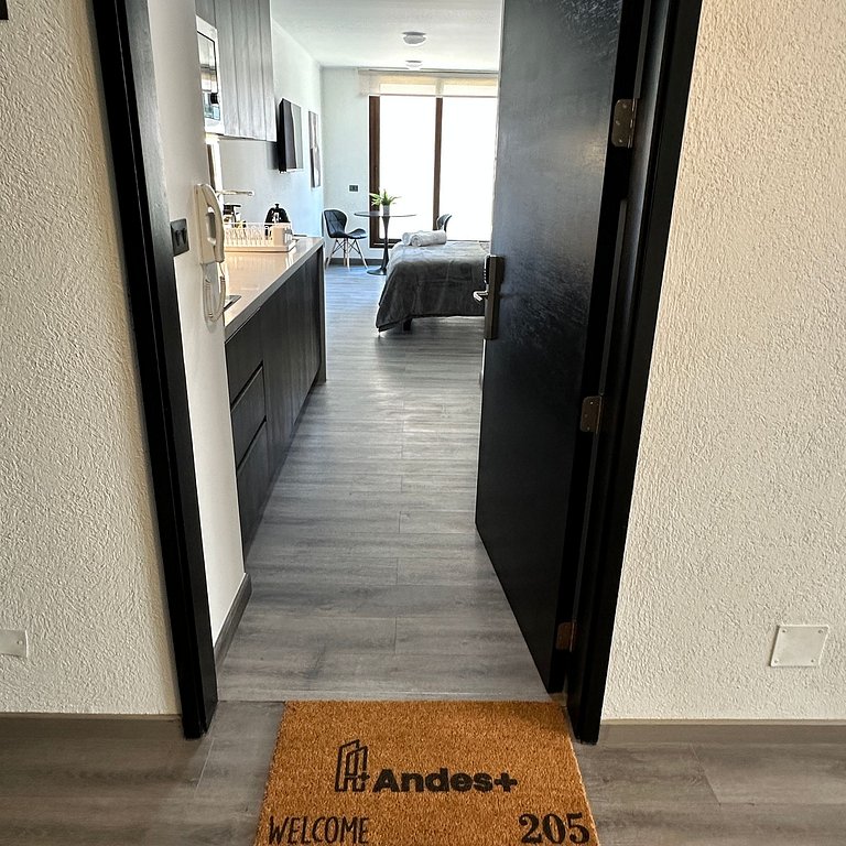Huerfanos Spot 205
